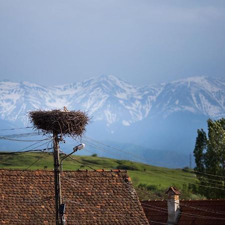 Casa Mosului - Transfagarasan Bed & Breakfast Cîrţişoara Dış mekan fotoğraf