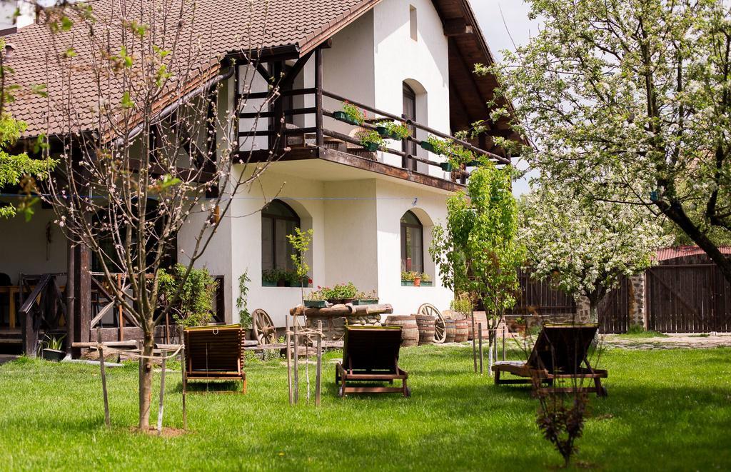 Casa Mosului - Transfagarasan Bed & Breakfast Cîrţişoara Dış mekan fotoğraf