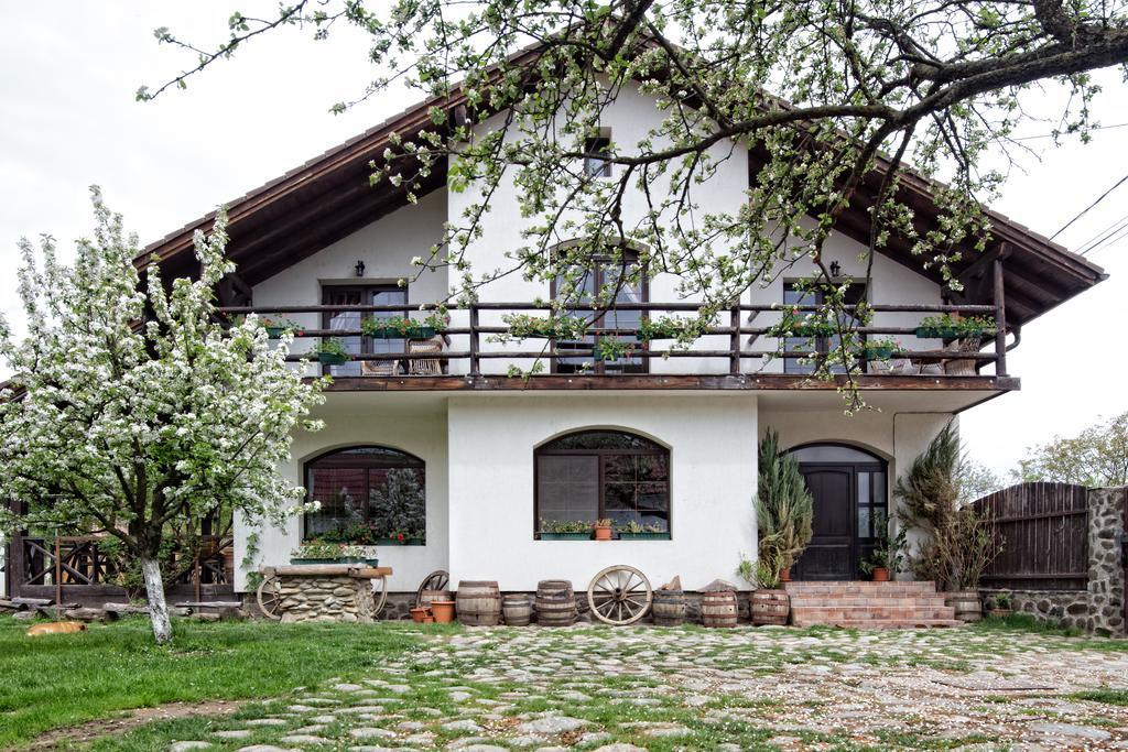 Casa Mosului - Transfagarasan Bed & Breakfast Cîrţişoara Dış mekan fotoğraf