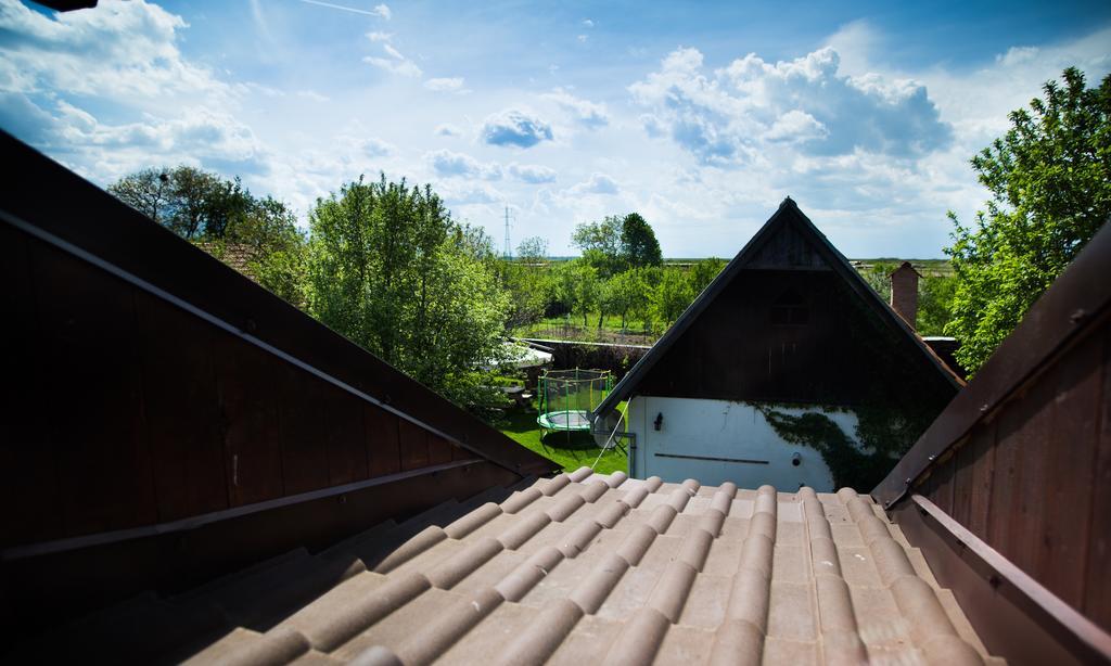 Casa Mosului - Transfagarasan Bed & Breakfast Cîrţişoara Dış mekan fotoğraf