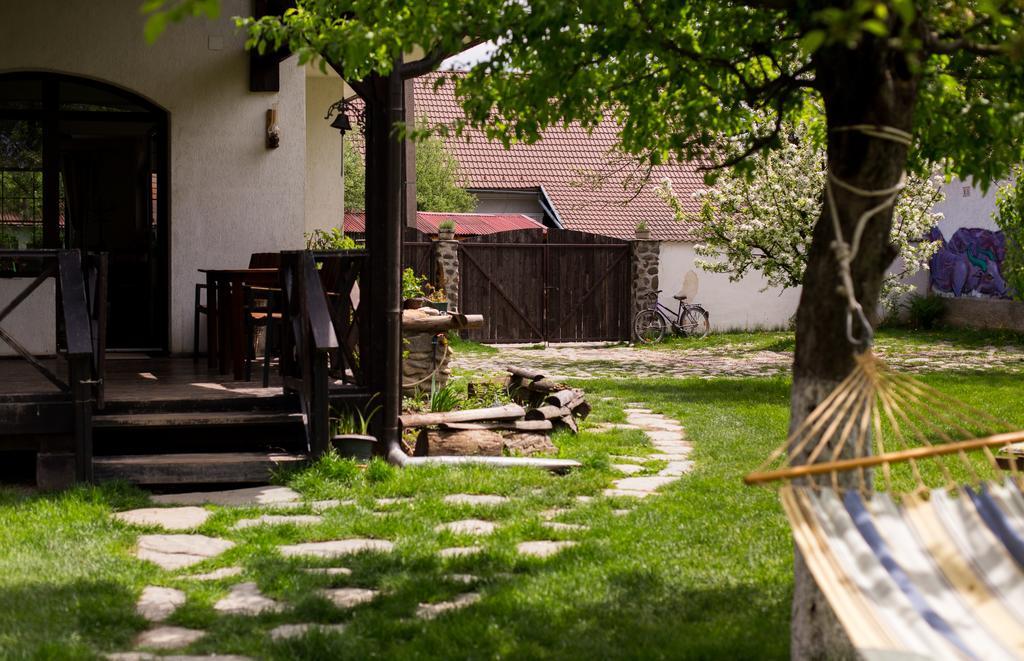 Casa Mosului - Transfagarasan Bed & Breakfast Cîrţişoara Dış mekan fotoğraf