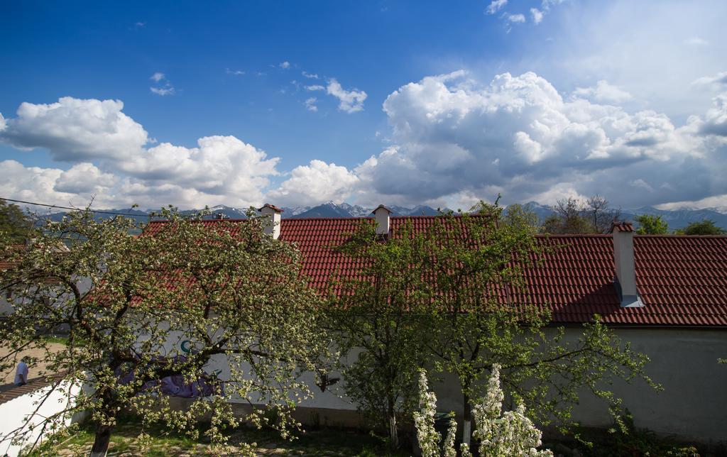 Casa Mosului - Transfagarasan Bed & Breakfast Cîrţişoara Dış mekan fotoğraf