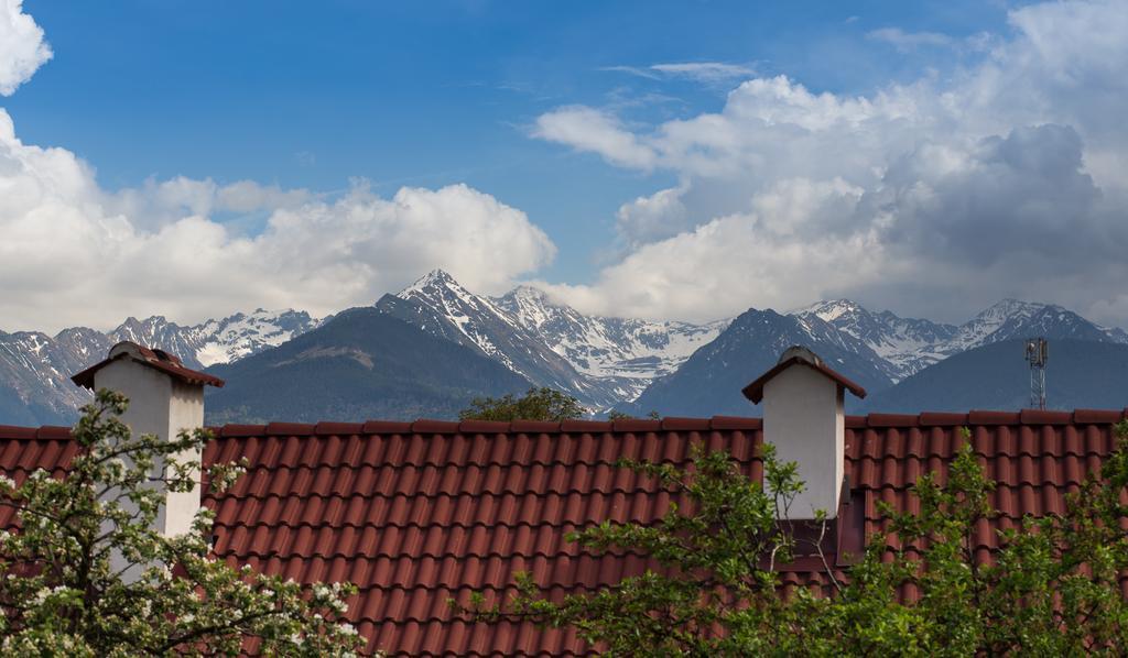 Casa Mosului - Transfagarasan Bed & Breakfast Cîrţişoara Dış mekan fotoğraf