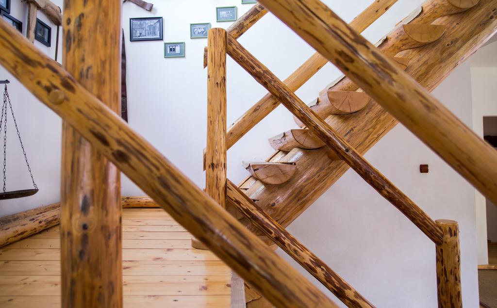 Casa Mosului - Transfagarasan Bed & Breakfast Cîrţişoara Dış mekan fotoğraf