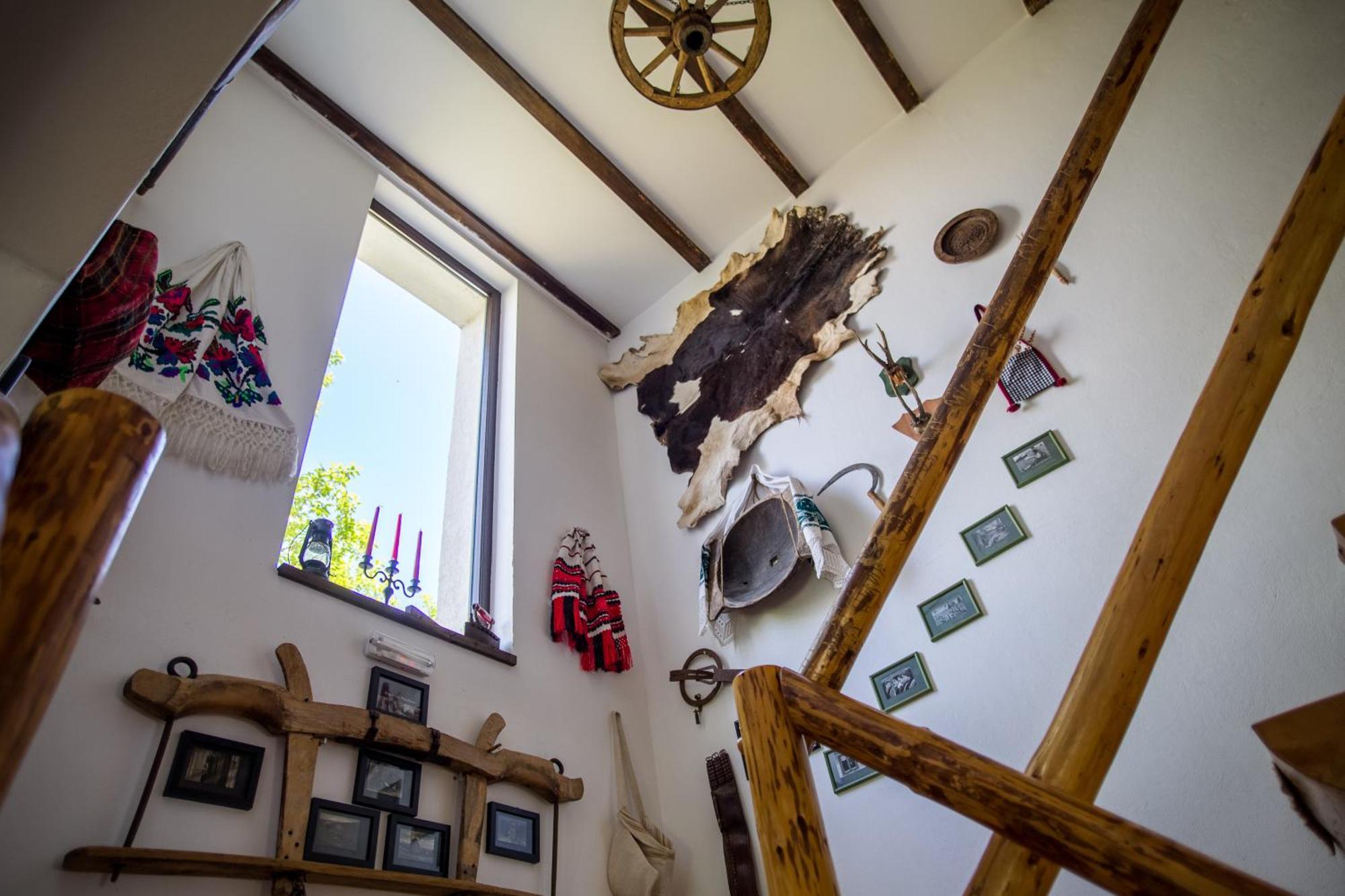 Casa Mosului - Transfagarasan Bed & Breakfast Cîrţişoara Dış mekan fotoğraf