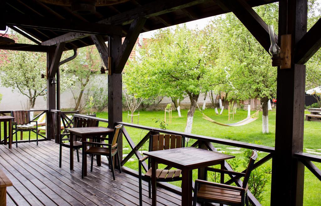 Casa Mosului - Transfagarasan Bed & Breakfast Cîrţişoara Dış mekan fotoğraf