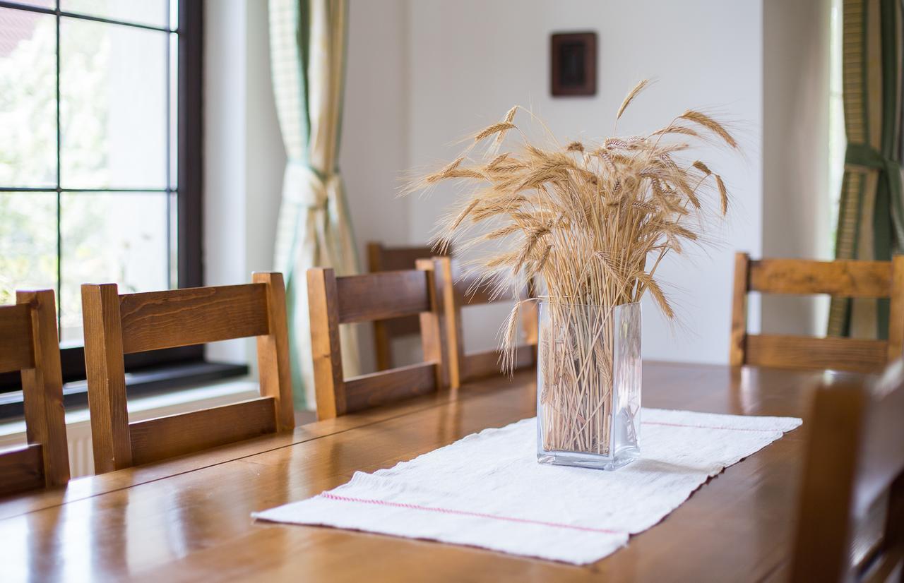Casa Mosului - Transfagarasan Bed & Breakfast Cîrţişoara Dış mekan fotoğraf