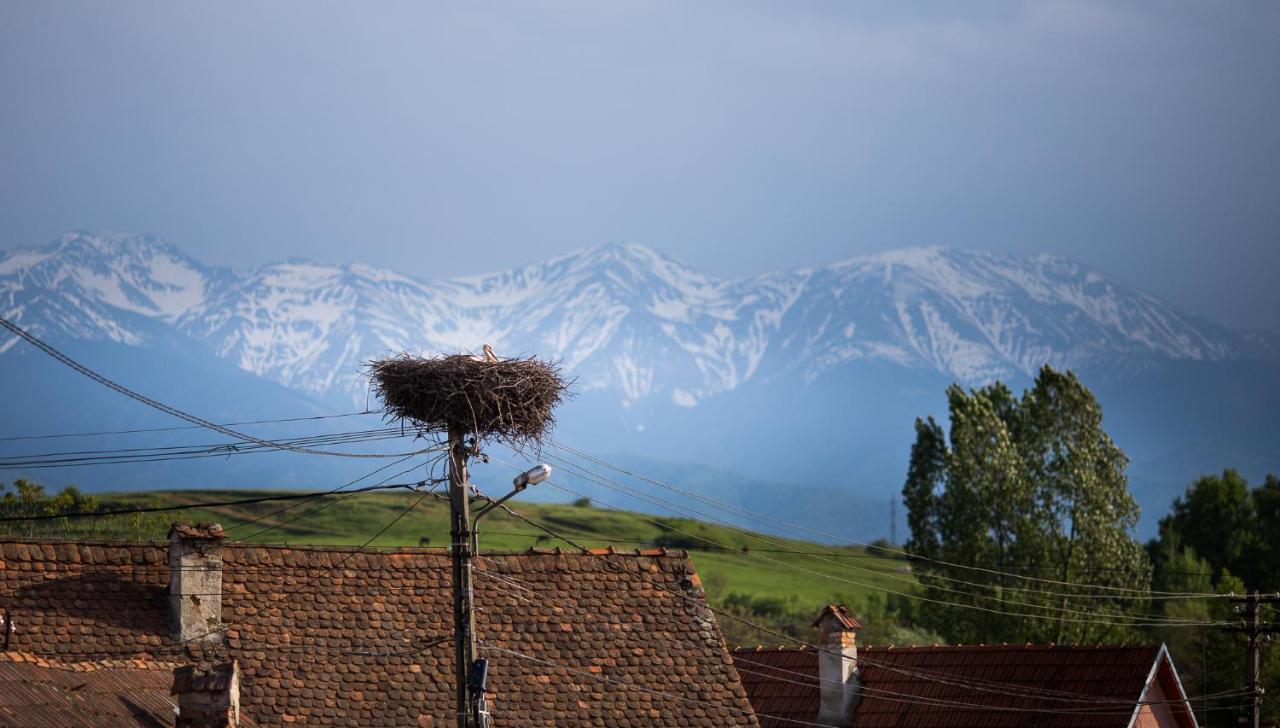 Casa Mosului - Transfagarasan Bed & Breakfast Cîrţişoara Dış mekan fotoğraf